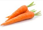 carrot